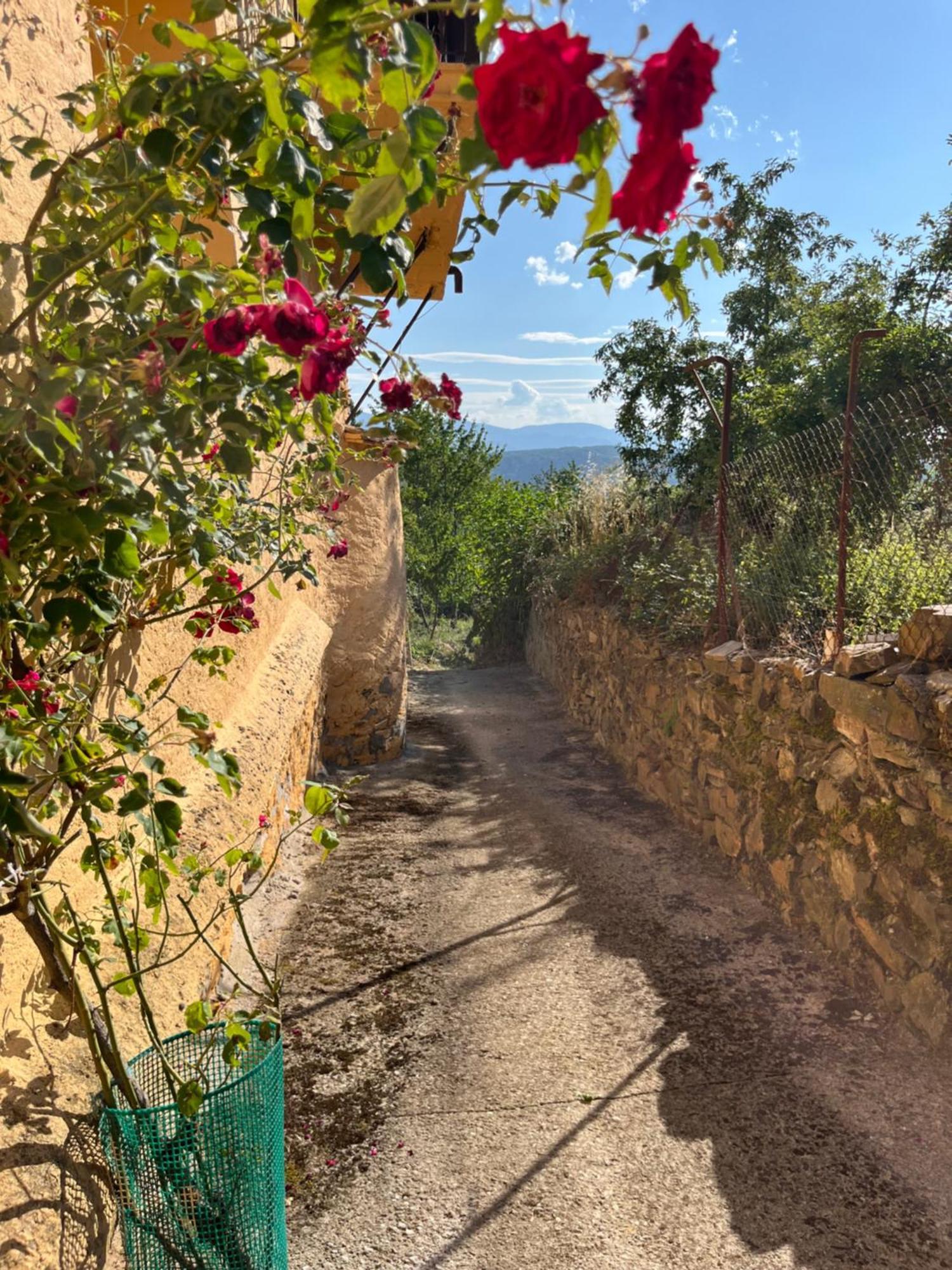 La Casina De Gelo Βίλα Riego de Ambros Εξωτερικό φωτογραφία